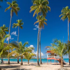 🌊 Día de playa con ritmo boricua